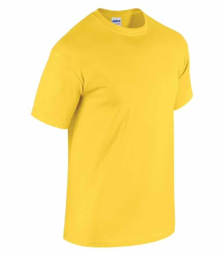 WTSM5000 - Daisy - WorkwearToronto.com - Men's T-Shirts With Custom Logo